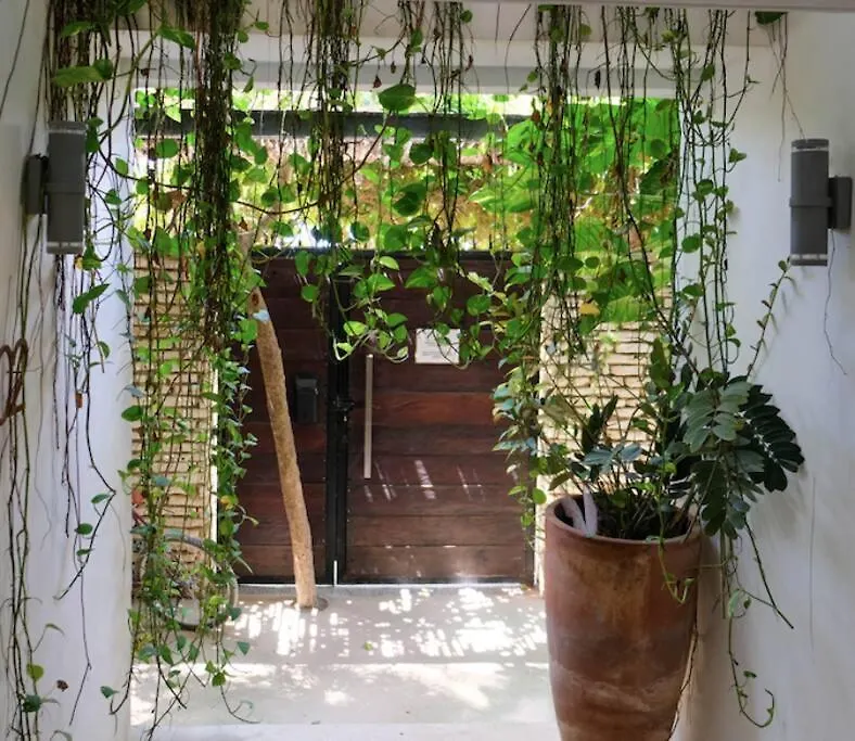 Come And Relax In The Jungle Of Tulum 4001 Apartment