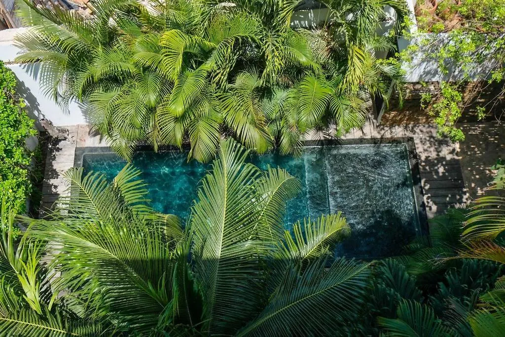 Come And Relax In The Jungle Of Tulum 4001 Mexico