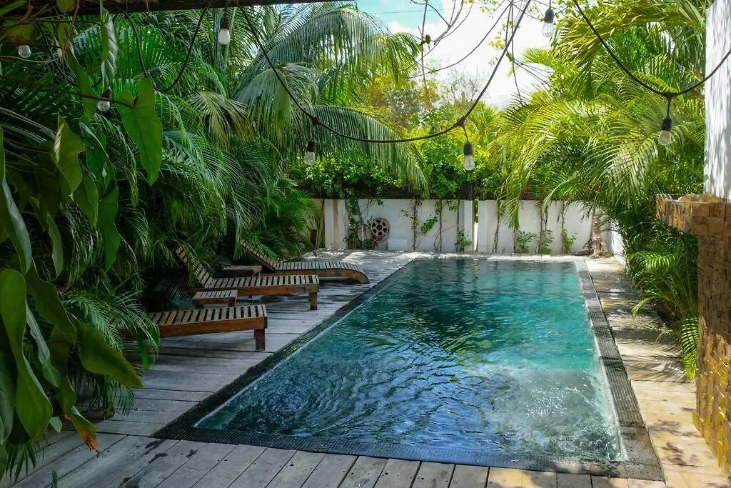 Come And Relax In The Jungle Of Tulum 4001