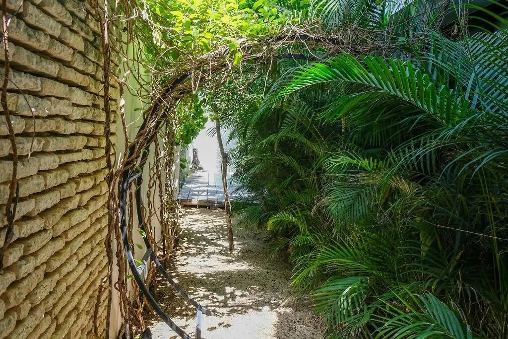 Apartment Come And Relax In The Jungle Of Tulum 4001