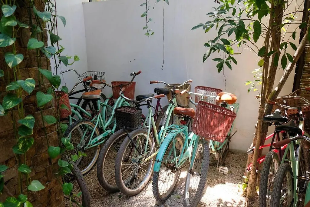 Come And Relax In The Jungle Of Tulum 4001 0*,